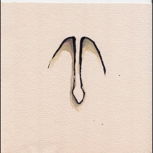 500x500 Rotten Apple