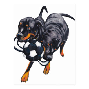 307x307 Rottweiler Pet Drawing Gifts On Zazzle Ca