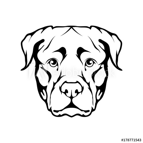 500x500 Rottweiler Icon Dog Collection