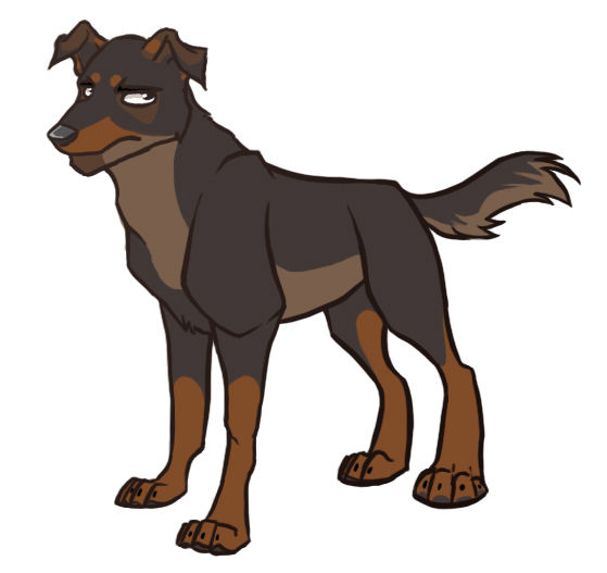 559x527 Shepherd Rottweiler Mix Dog