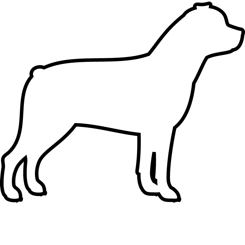800x800 collection of free rottweiler drawing easy download on ui ex