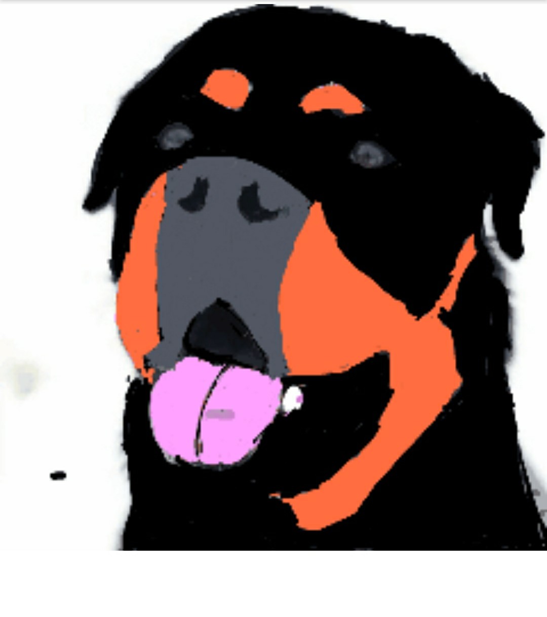 1080x1219 first sketch drawing rottweiler freetoedit