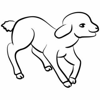 320x320 hd dog training book aggressive dog, reactive dog