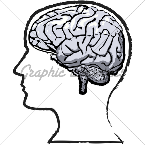 500x500 Rough Human Brain Mind Grunge Sketch Gl Stock Images