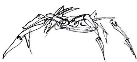 450x205 Figure Drawing Days To First Draft