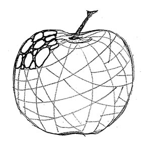 290x290 Apply Textures To Apples Art Lesson