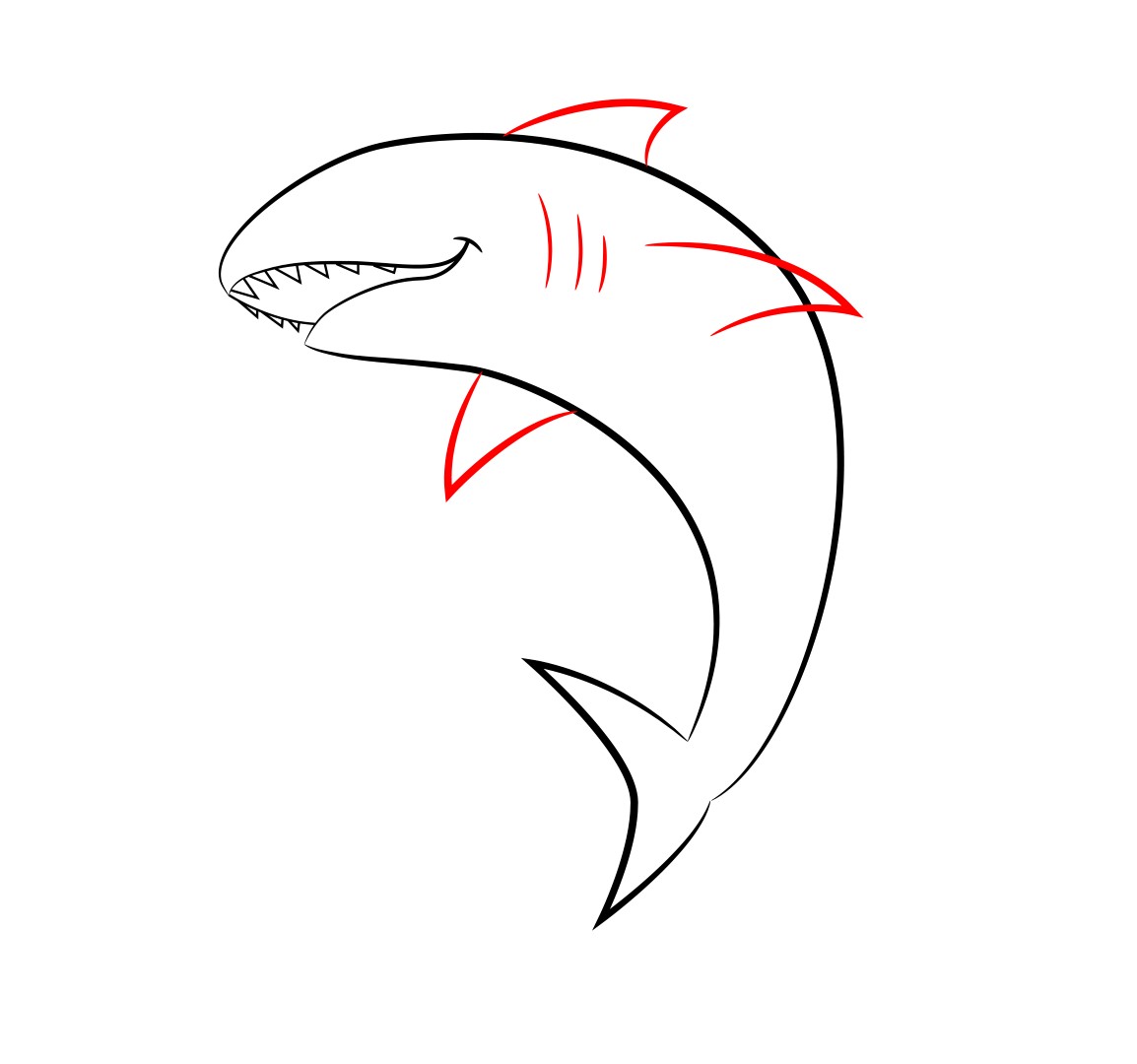 1154x1080 How To Draw A Cartoon Shark