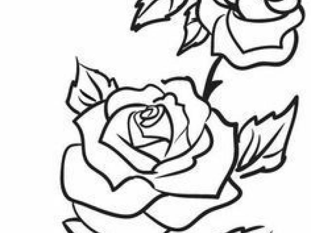 640x480 Rose Bush Clipart Row