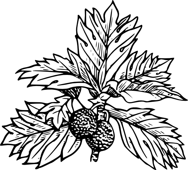 600x545 Leaf Drawing Free Download