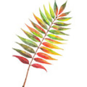 180x180 autumn rowan tree leaf painting