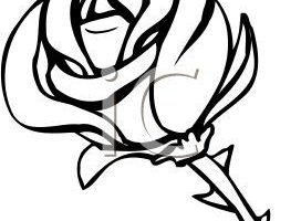 272x200 Rowing Machine Clipart Clipart Portal