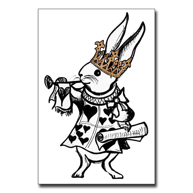 640x640 Royal White Rabbit