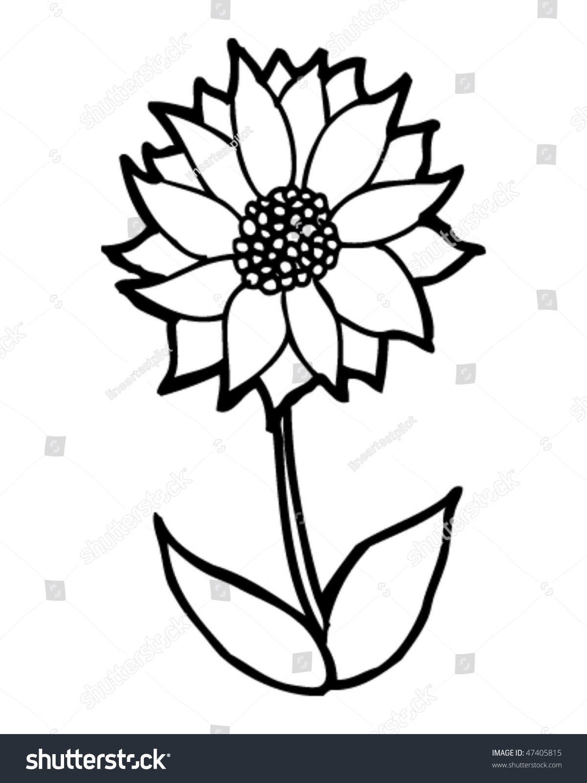 1200x1600 Cartoon Drawing Flowers Cartoon Drawing Flower Stock Vector