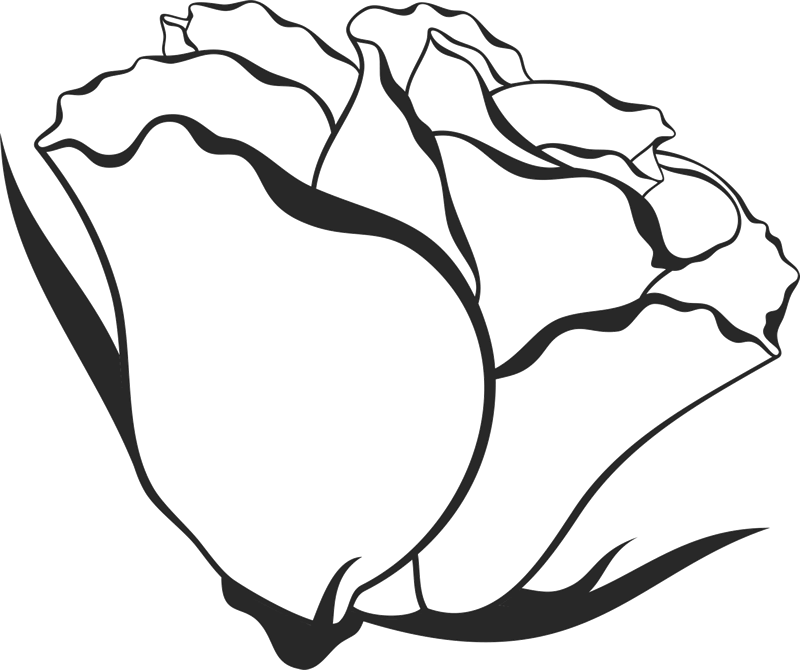 800x670 Collection Of Free Chicken Drawing Side View Download On Ui Ex