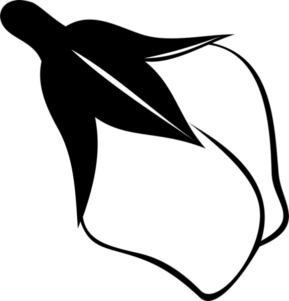 576x600 Rose Bud Drawing Rubber Stamp Flower Leaf Stamps Stamptopia