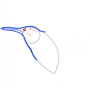 302x297 How To Draw A Hummingbird, Step