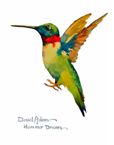 472x600 Ruby Throated Hummingbird Paintings Fine Art America