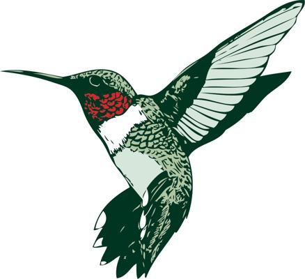 438x400 Hummingbird Clipart Ruby Throated