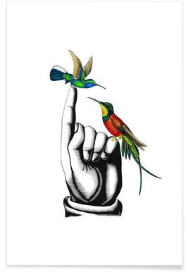 267x386 Buy Hummingbird Drawings And Illustrations Online Juniqe Uk