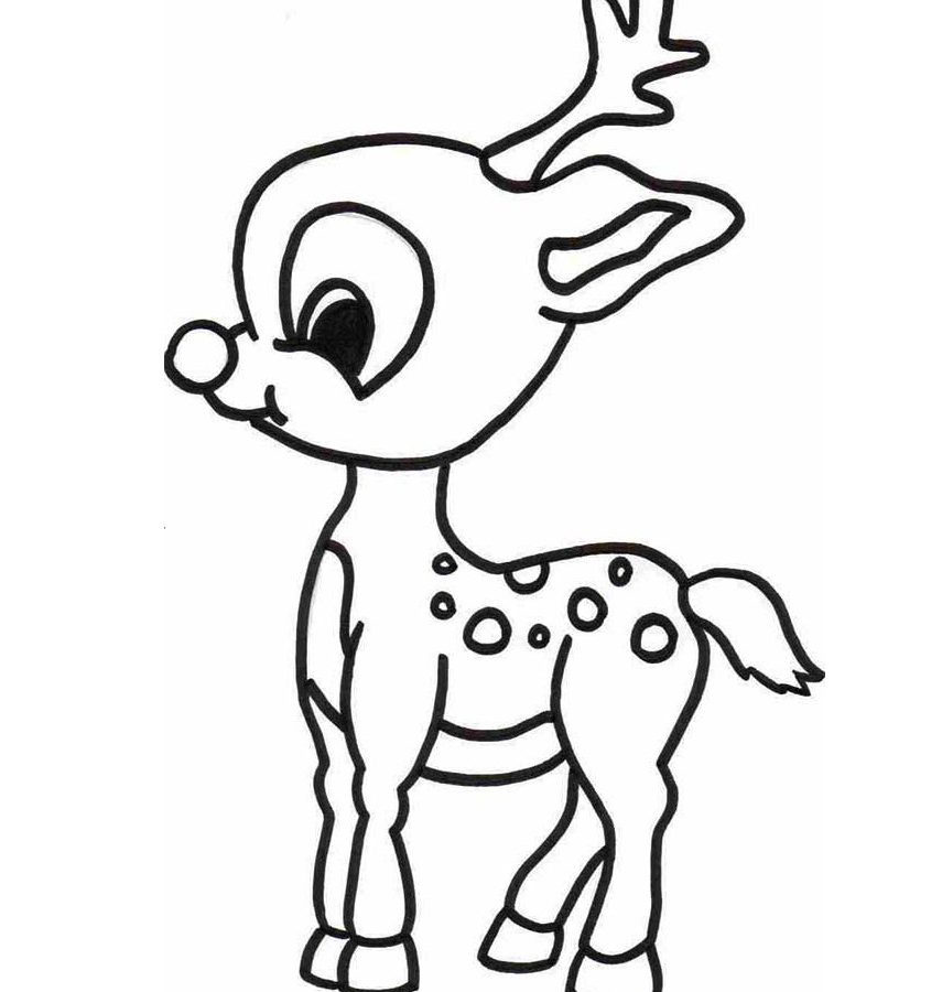 855x900 remarkable rudolphloring pages the red nosed reindeer wilma