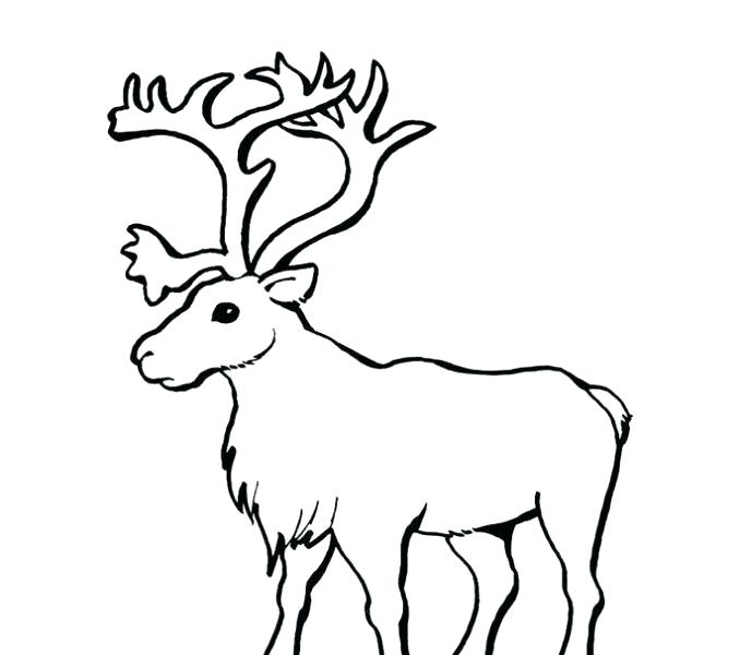 678x600 coloring pages of rudolph the red nosed reindeer drawing the red