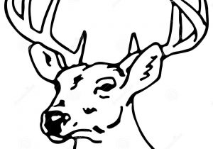 300x210 drawing a reindeer how to draw rudolph the red nosed reindeer