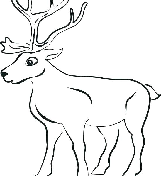 549x600 Rudolph The Red Nosed Reindeer Story Printable Free Coloring