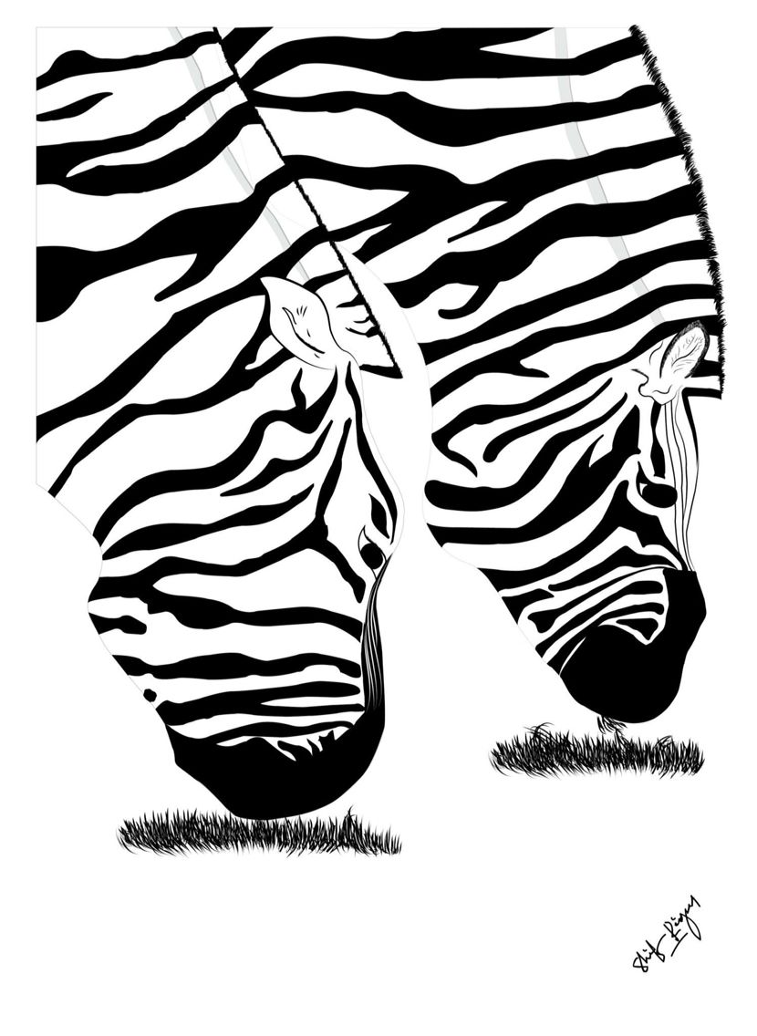 830x1136 Zebrah Illustration Illustrations Animal Print Rug