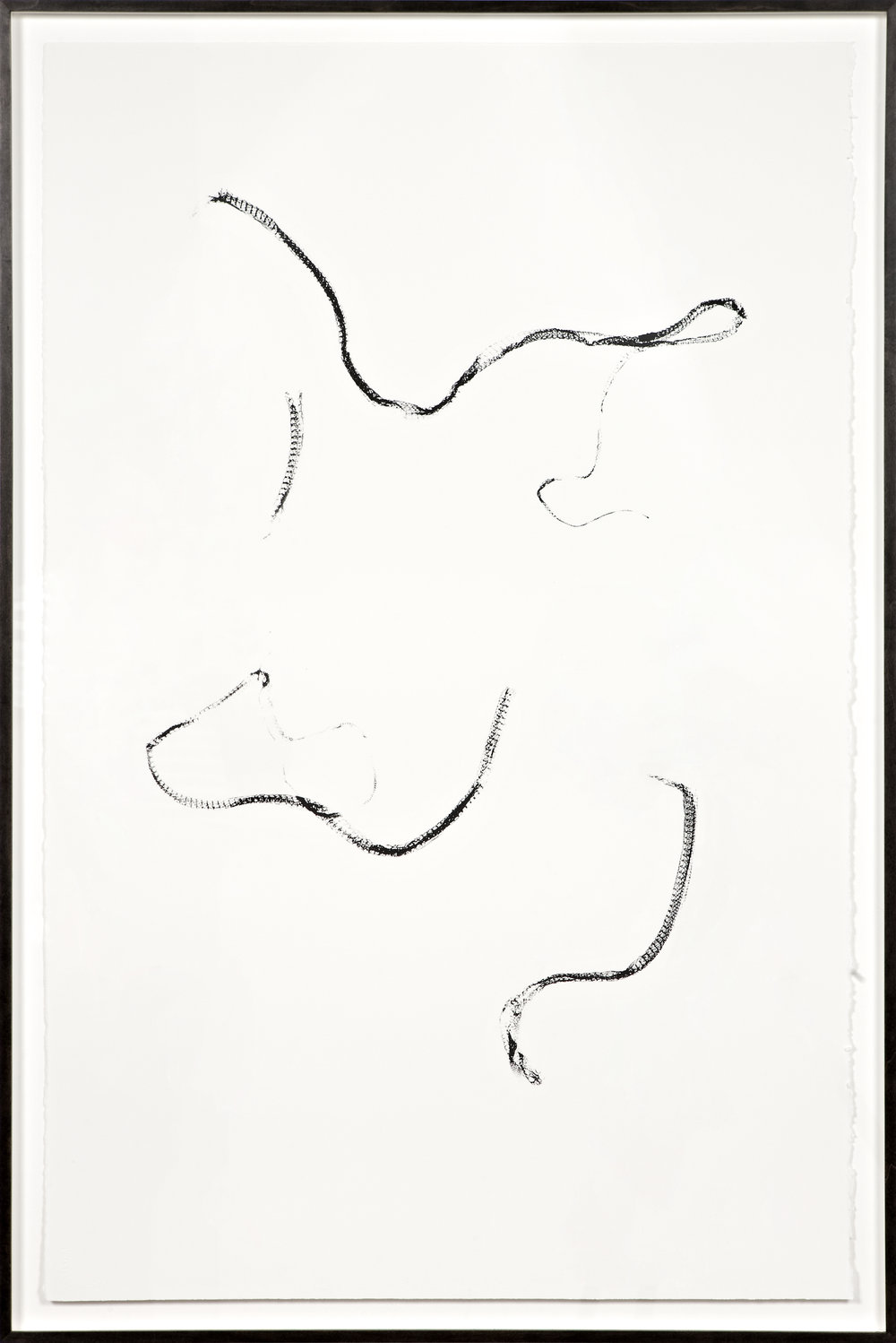 1000x1498 Baby Snakes Hatching Ruins Ruins Mai Hofstad Gunnes