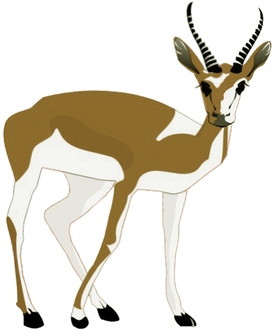 400x480 How To Draw A Deer