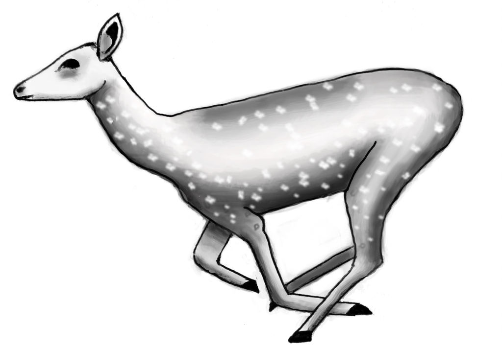 1024x713 Running Deer