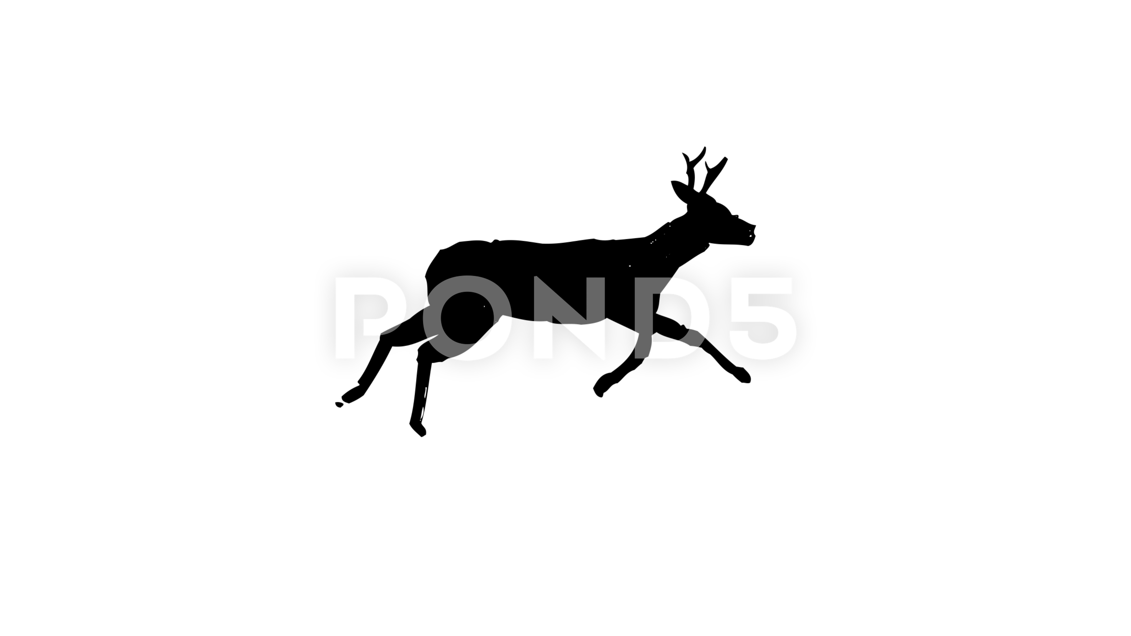 3840x2160 Running Deer Drawing Animation Drawn With Japan Calligraphic
