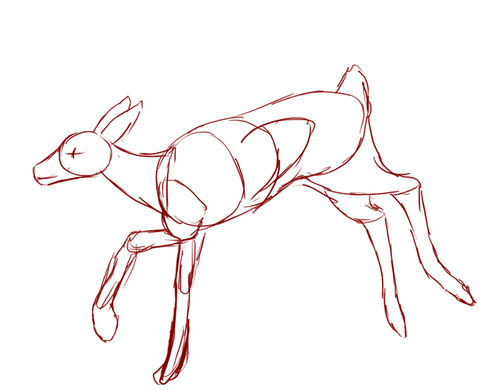 700x560 Deer Running Test