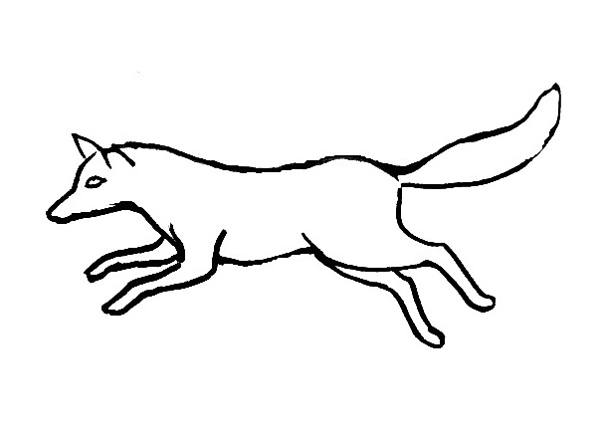 600x430 Fox Coloring Pages