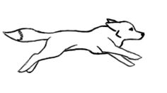 236x131 Best Foxes For Logo Images Fox, Foxes, Baby Animals