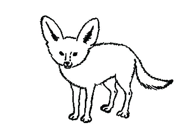 600x471 Kit Fox Running Scared Coloring Pages For Adults Animals Online