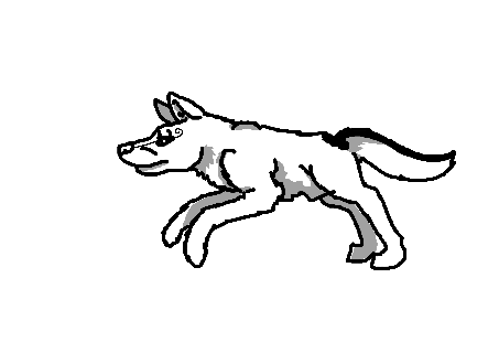 453x320 Tag For Runing Black Fox Gif Swirl Running Animation