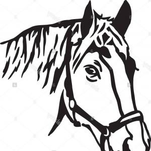 300x300 Photostock Vector Vector Horse Images Silhouette Horse Drawings