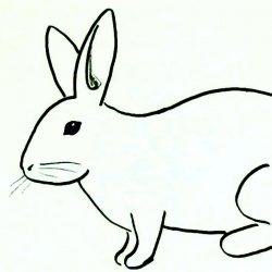 250x250 Easy Person Drawing Tutorial Old A Of Face Cute I Fertility