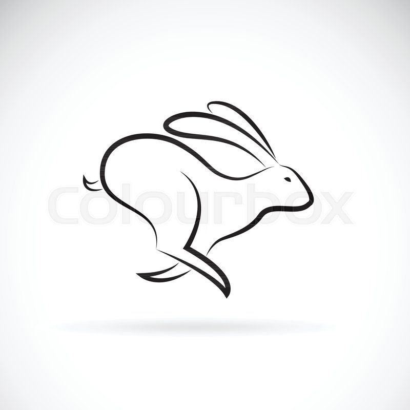 800x800 Vector Of Rabbit Is Running On White Stock Vector Colourbox