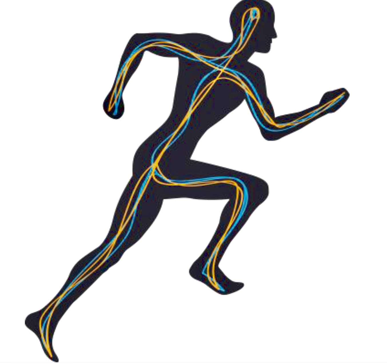 Running Track Drawing Free Download On Clipartmag