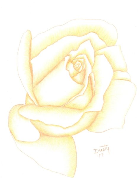 470x600 Rust Drawings