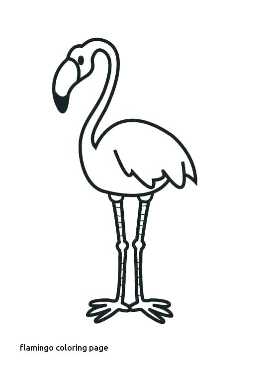 531x750 Flamingo Coloring Pages Printable Complex Color Pink Coloring