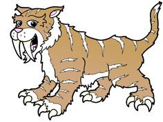236x177 How To Draw A Saber Tooth Tiger Step