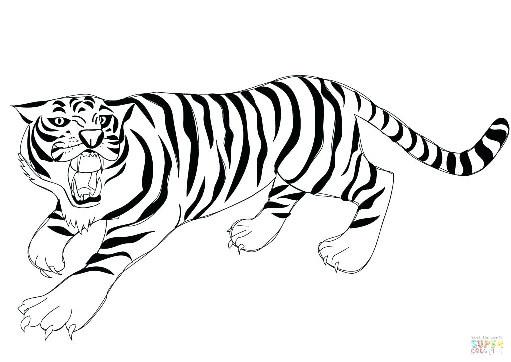 Saber Tooth Tiger Drawing | Free download on ClipArtMag