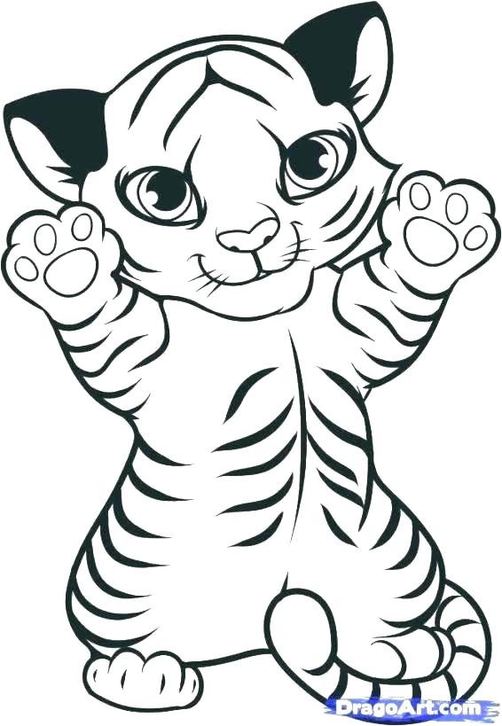 566x819 Coloring Pictures Of Saber Tooth Tigers