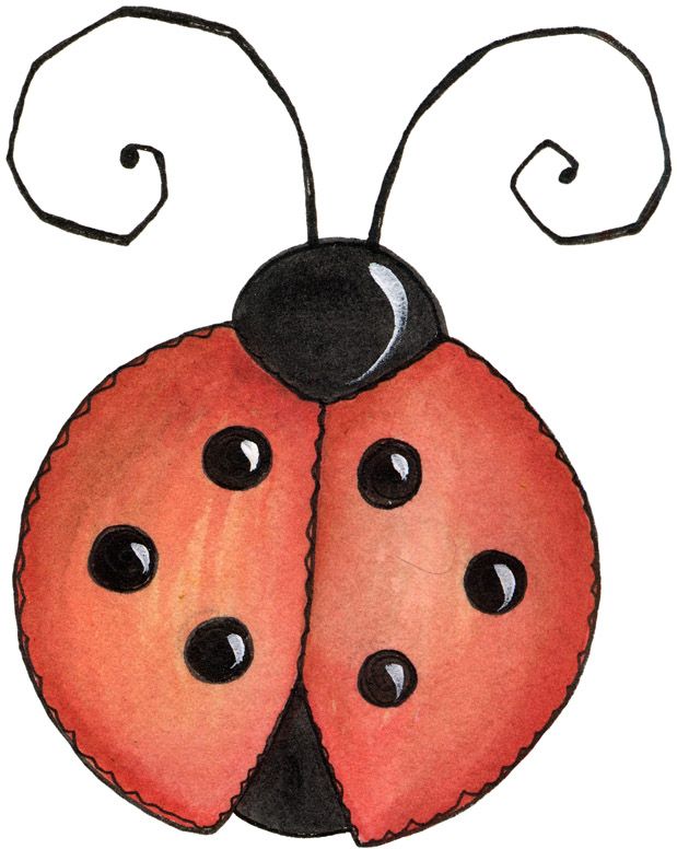 619x776 Collection Of Free Ladybugs Clipart Drawing Bean Clipart Coffee