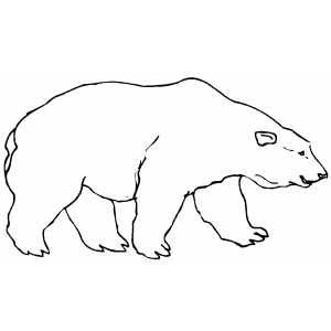 300x300 Walking Sad Polar Bear Zentangle Animals In Free Coloring