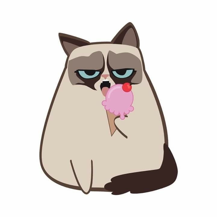 720x720 Pin On Grumpy Cat