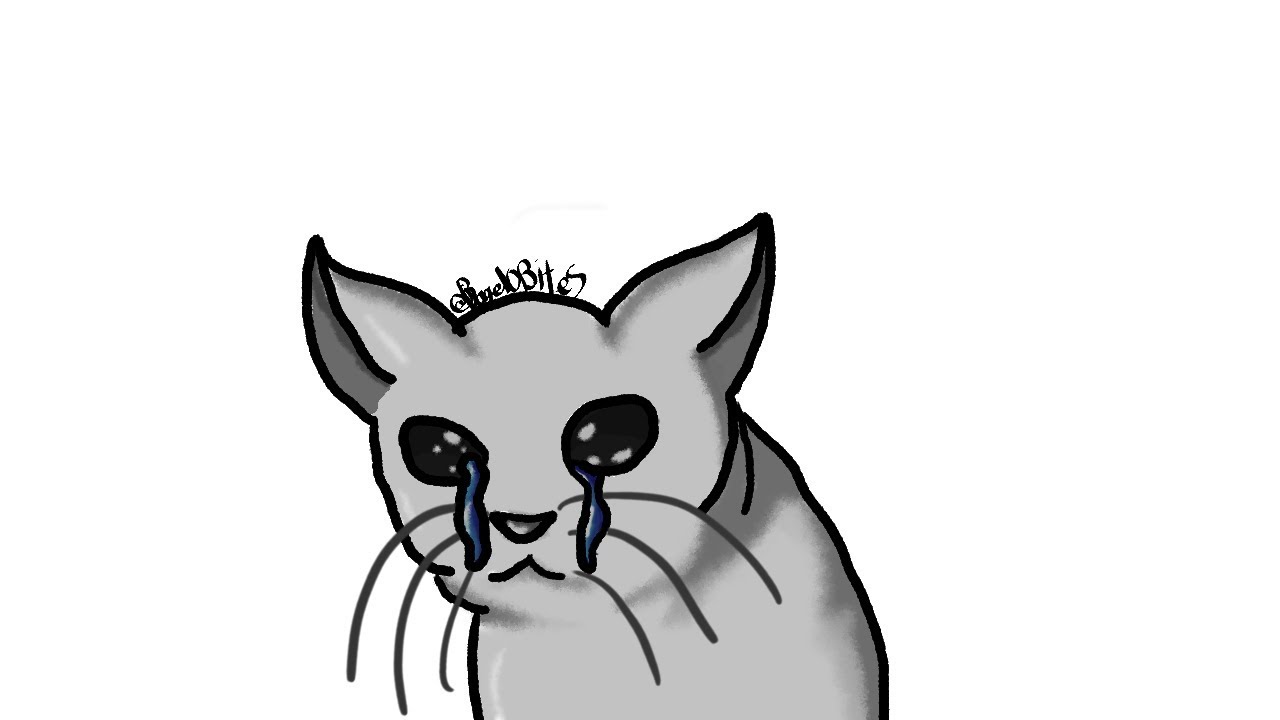 1280x720 Sad Cat